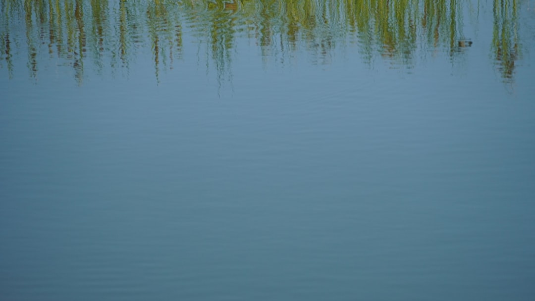 New Jersey pool lifestyle with green garden and patio seating